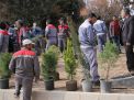 گزارش تصویری از آئیین درختکاری و تقدیر ازهمکاران فضای سبز دانشگاه